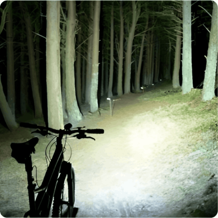 VitalTac Flashlight customer review Ben R.